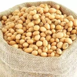Soya beans / சோயா பீன்ஸ்