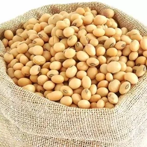 Soya beans / சோயா பீன்ஸ்