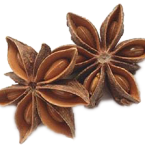 Star Anise / Annachi poo / நட்சத்திர சோம்பு