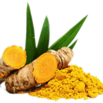 Manjal kilangu / மஞ்சள் கிழங்கு