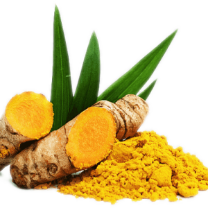 Manjal kilangu / மஞ்சள் கிழங்கு
