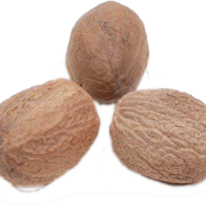 Jaathikai / ஜாதிகை