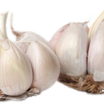 Garlic / பூண்டு