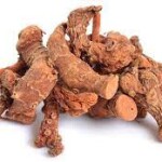 Sitharathai / சித்திரத்தை