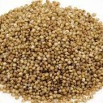 Varagu rice