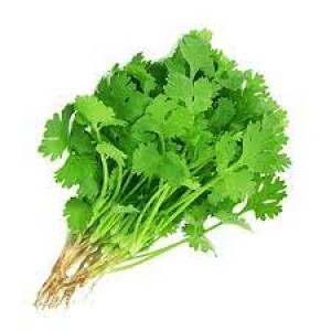 Coriander leaves / கொத்துமல்லி தழை