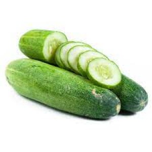 Cucumber hybrid