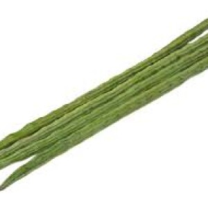 Drum stick /  முருங்கைக் காய்