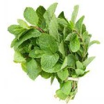 Mint leaves / புதினா இலைகள்