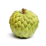 Custard apple / கஸ்டர்ட் ஆப்பிள்